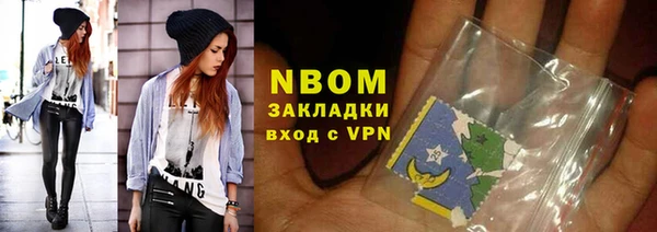 дживик Бородино
