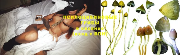 дживик Бородино