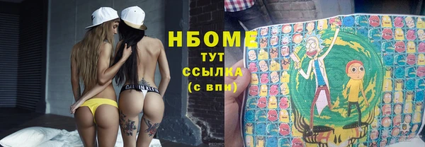 дживик Бородино