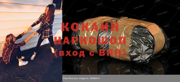 дживик Бородино