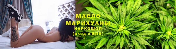 дживик Бородино