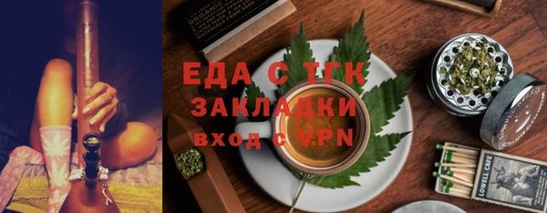 дживик Бородино