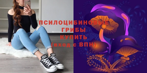 дживик Бородино
